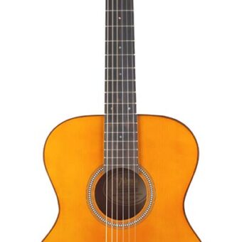 Valencia VA434VNA nylon snarige auditorium gitaar