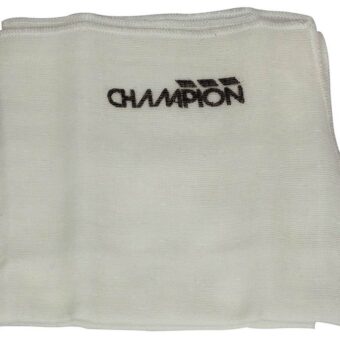 Champion CH333