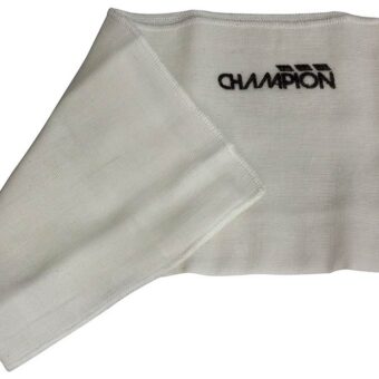 Champion CH333