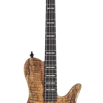 Sire F10Dx 4/NTS