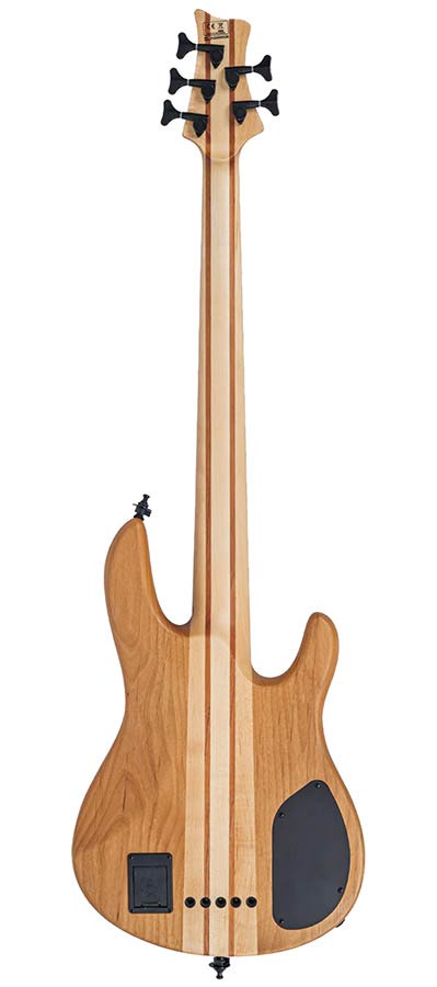 Sire F10Dc 5L/NTS - Afbeelding 2